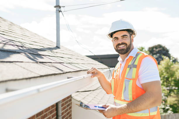 Best Roof Gutter Cleaning  in Ortonville, MN