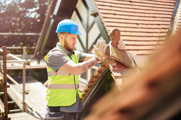 Best Tile Roofing Contractor  in Ortonville, MN